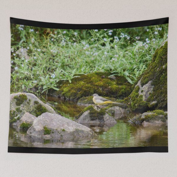 Item preview, Forget me not. Grey wagtail designed and sold by Jouko Lehto Photography.
