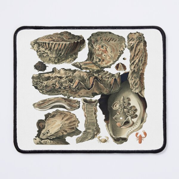 Item preview, Great Barrier Reef Oysters by William Saville Kent designed and sold by Tamas Das.