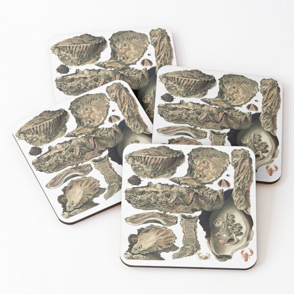 Item preview, Great Barrier Reef Oysters by William Saville Kent designed and sold by Tamas Das.