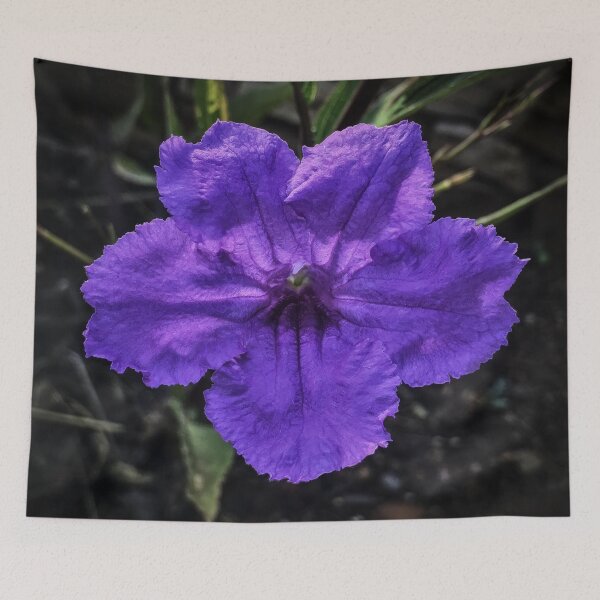 Artikelvorschau, Ruellia brittoniana La Belleza Cautivadora de la Petunia Mexicana entworfen und verkauft von ChakraMonkey.