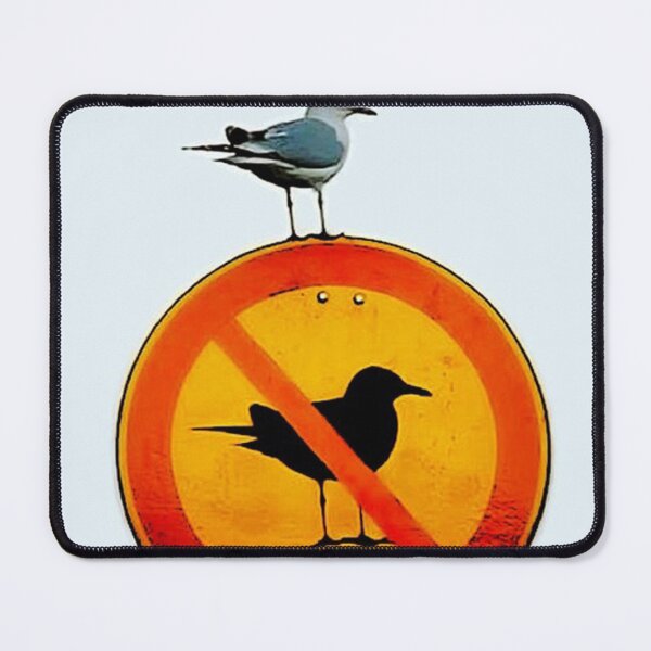 Item preview, No Seagulls allowed designed and sold by johnsondawn.