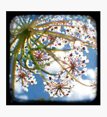 Look Up Through The Viewfinder Photographic Print