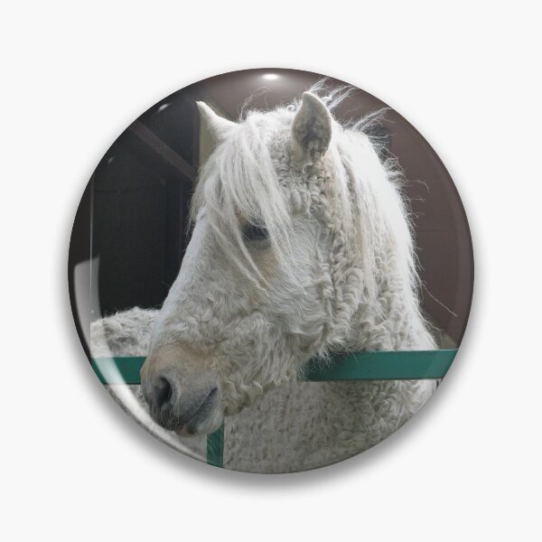 Artikelvorschau, Amarican Baskir Curly filly entworfen und verkauft von LorrieBee.
