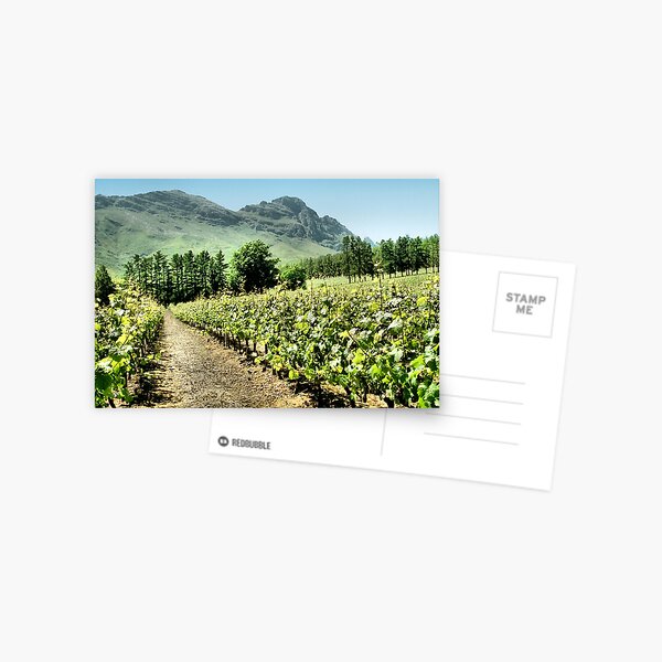 Item preview, Vineyards designed and sold by Carole-Anne.
