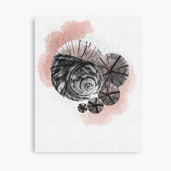 Pink Rings Canvas Print