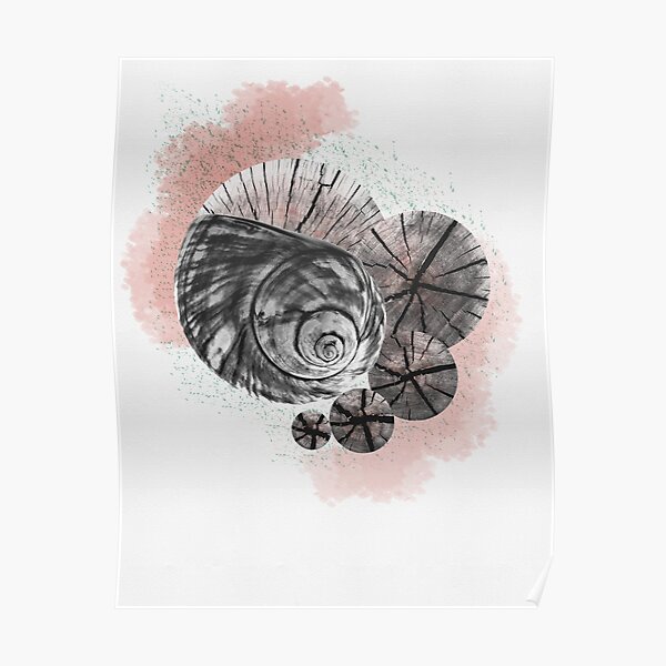 Pink Rings Poster