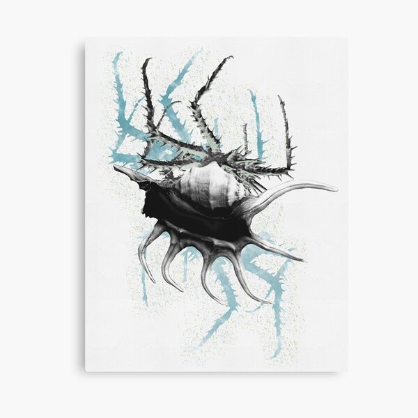 Blue Crab Canvas Print