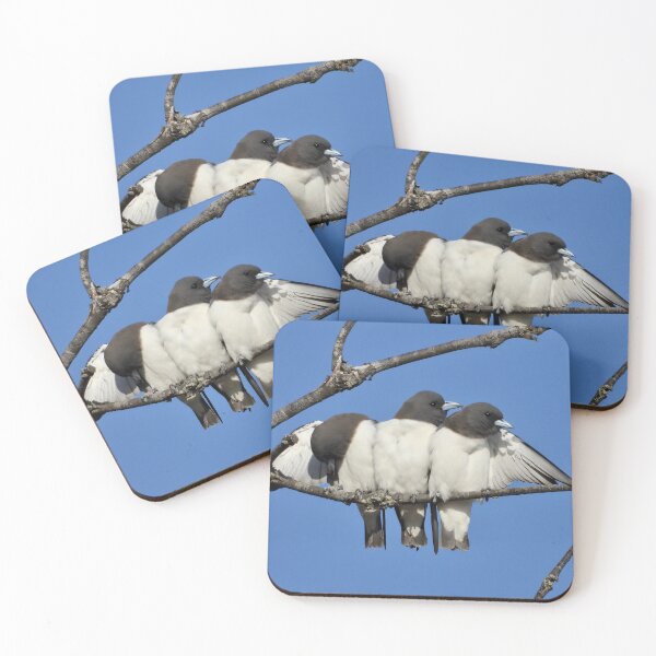 Item preview, Group hug Woodswallows  designed and sold by Mark Grimsley.