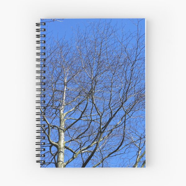 Item preview, Trees In The Blue Hour designed and sold by BlueMoonRose.