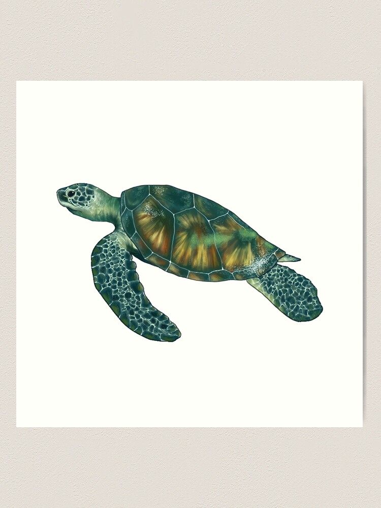 Sea Turtle Art Print for Sale by jessadoodle
