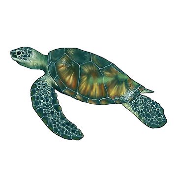 Artwork thumbnail, Sea Turtle by jessadoodle