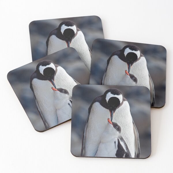 Item preview, Lullaby (Gentoo Penguin & Chick, Port Lockroy, Antarctica) designed and sold by Krys Bailey.