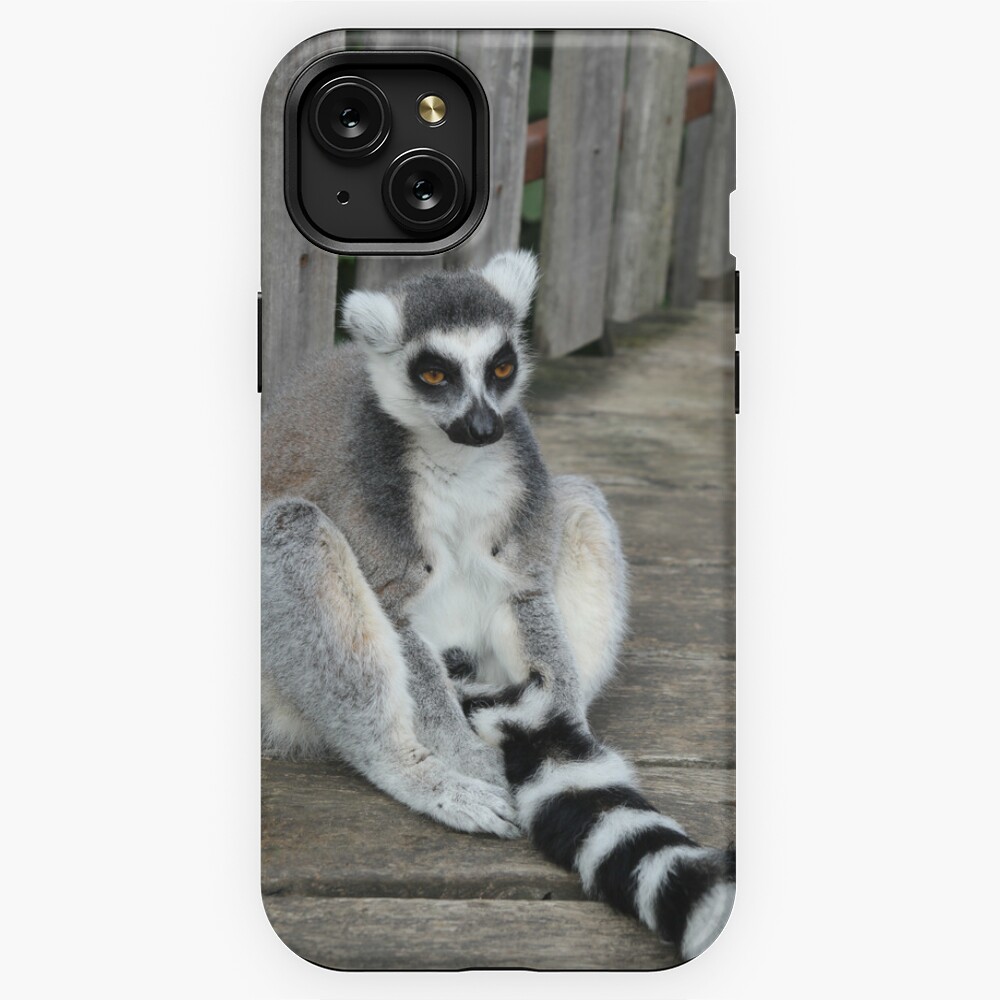 Relaxing Lemur Cell Phone Case