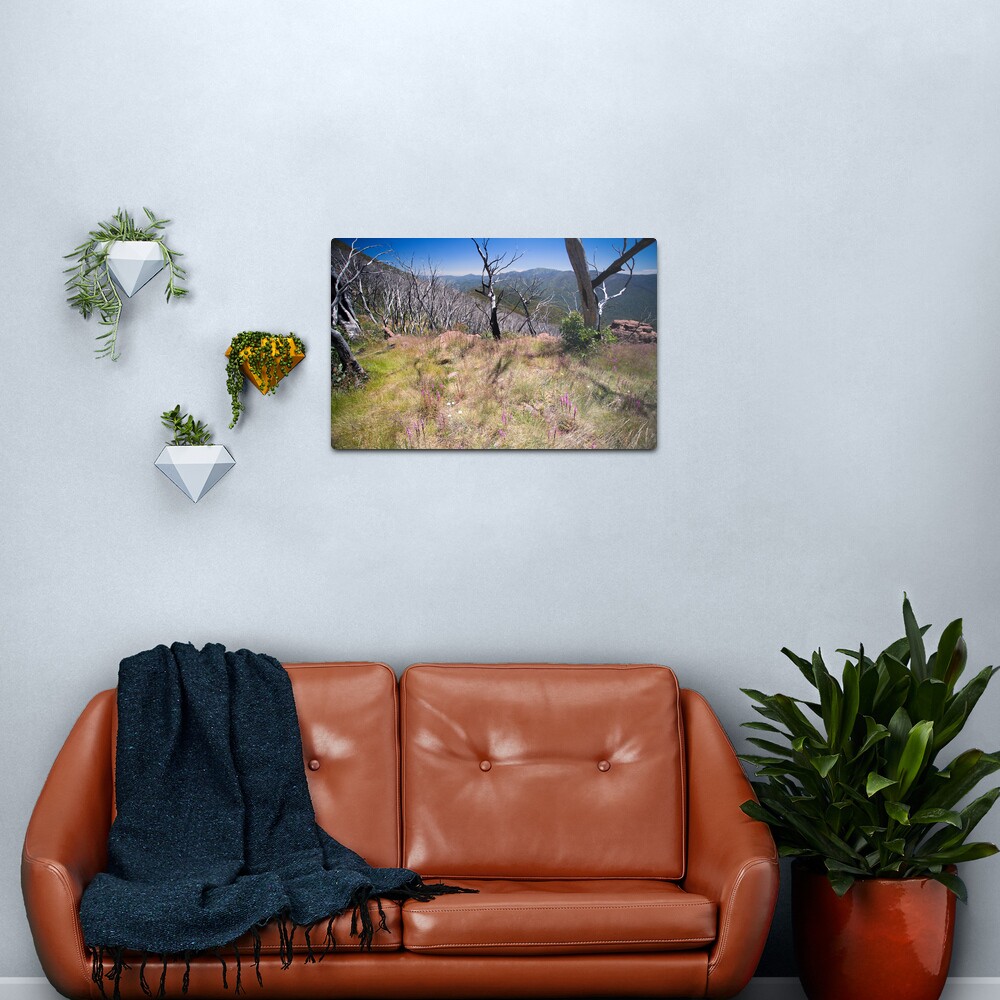 High Country Wild Flowers Metal Print