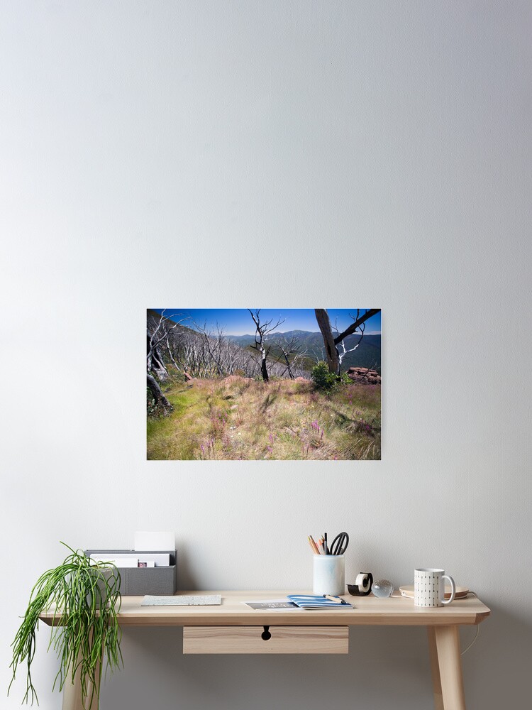 Thumbnail 2 of 3, Poster, High Country Wild Flowers designed and sold by RICHARDW.