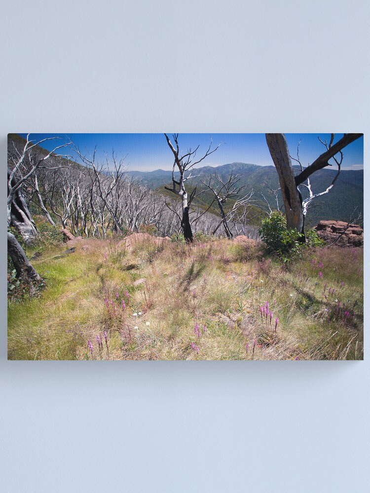Thumbnail 2 of 3, Canvas Print, High Country Wild Flowers designed and sold by Richard  Windeyer.