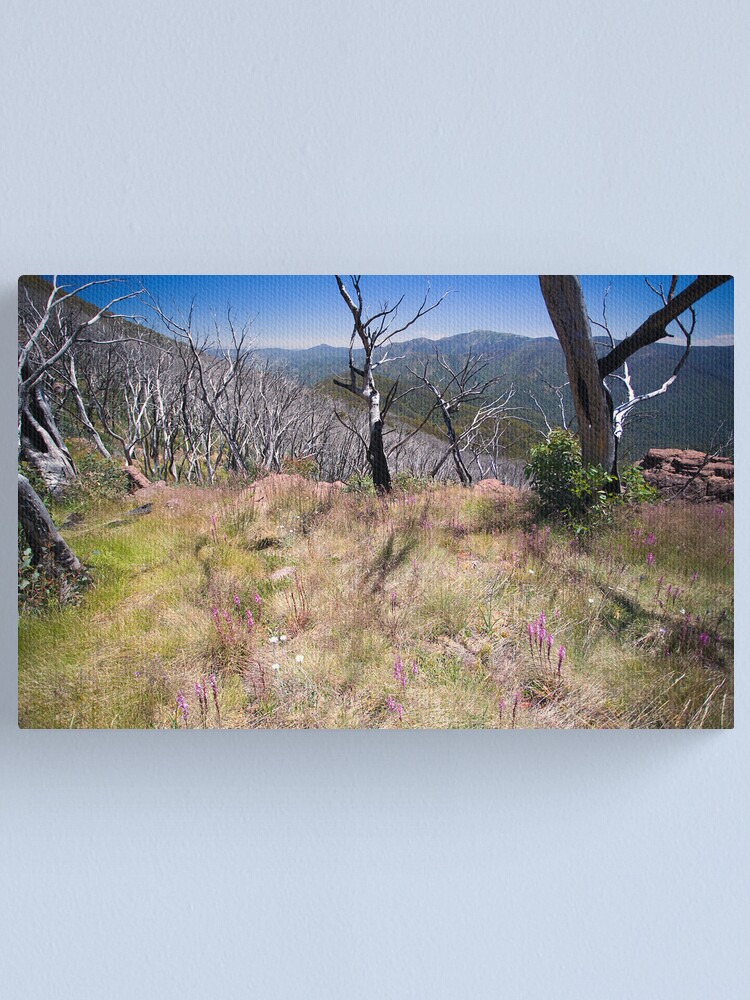Alternate view of High Country Wild Flowers Canvas Print