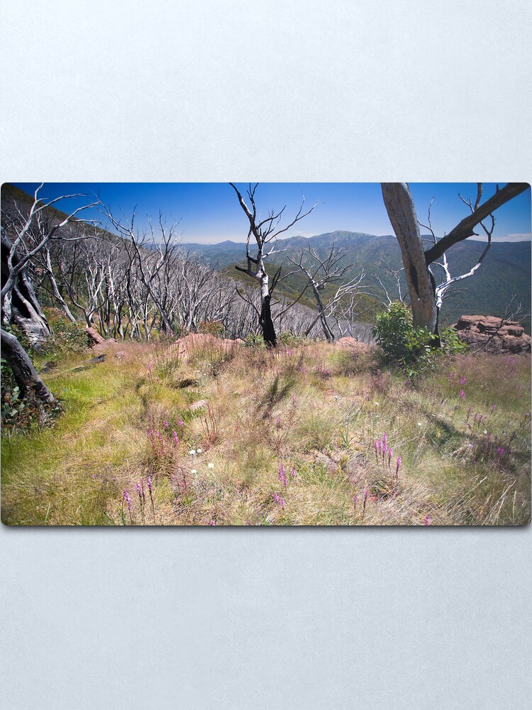 Alternate view of High Country Wild Flowers Metal Print