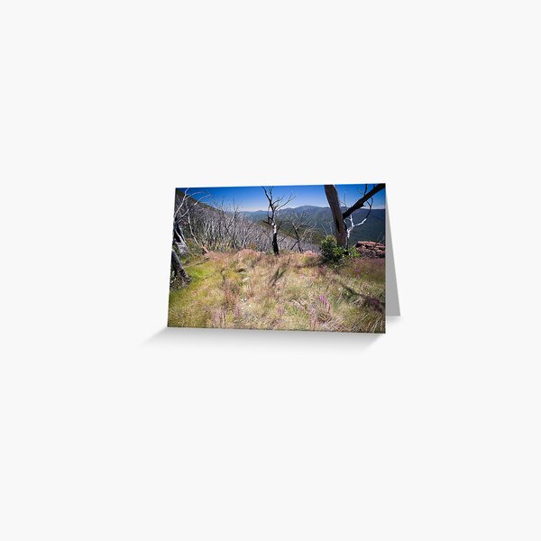 High Country Wild Flowers Greeting Card
