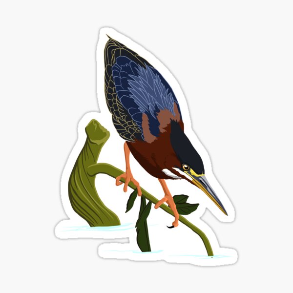 Item preview, Green Heron designed and sold by BennuBirdy.