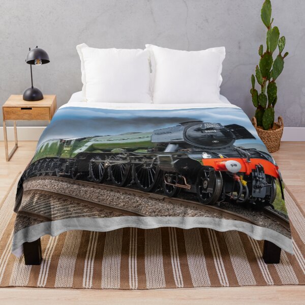 Item preview, "Flying Scotsman" at 100 years old designed and sold by davehudspeth.