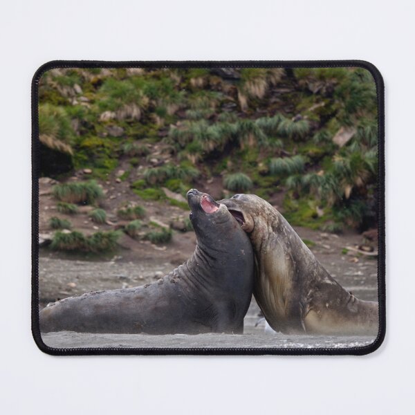 Item preview, Ouch! designed and sold by Krys Bailey.