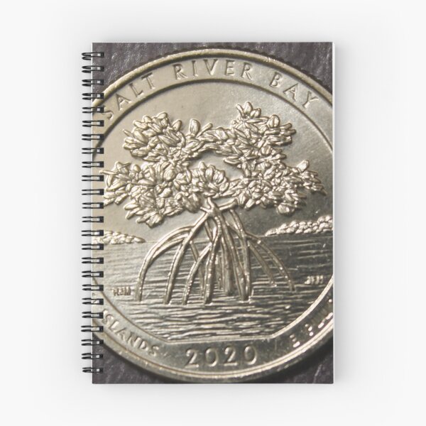 Item preview, 2020 Reverse of Washington Quarter Salt River Bay designed and sold by coinsxcrochet.