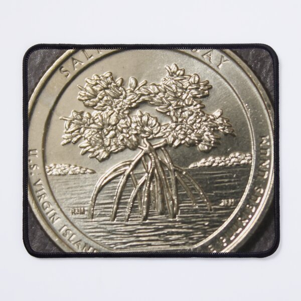 Item preview, 2020 Reverse of Washington Quarter Salt River Bay designed and sold by coinsxcrochet.