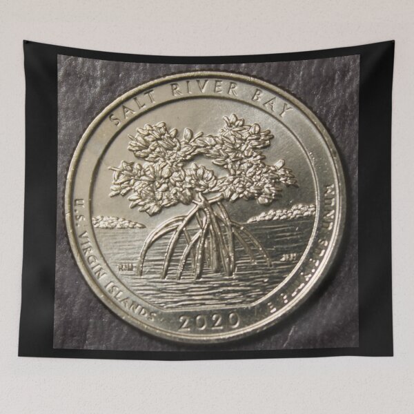 Item preview, 2020 Reverse of Washington Quarter Salt River Bay designed and sold by coinsxcrochet.