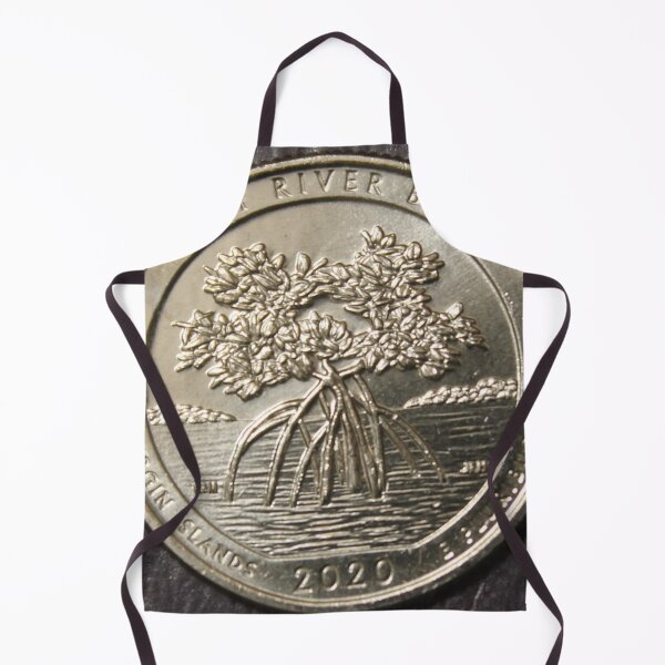 Item preview, 2020 Reverse of Washington Quarter Salt River Bay designed and sold by coinsxcrochet.