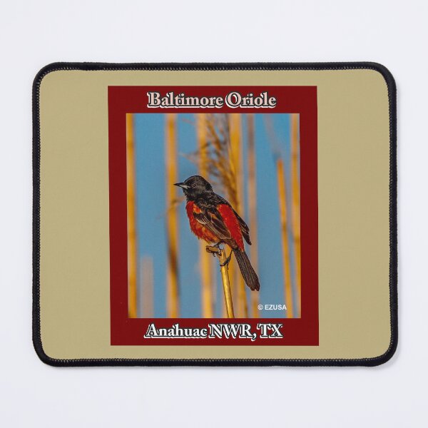 Item preview, Give Someone You Love The Bird: Baltimore Oriole At Anahuac NWR Sings His Early Morning Song. designed and sold by MoreEZUSA-Here.