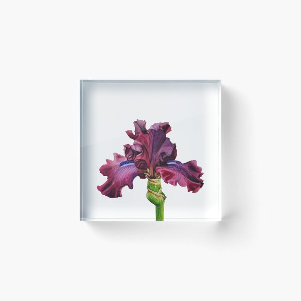 Item preview, Purple Iris designed and sold by Irsaervin.