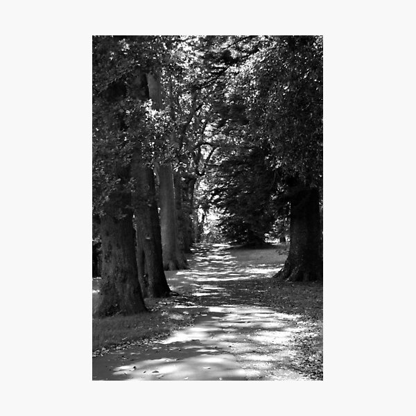 Rest Photographic Print