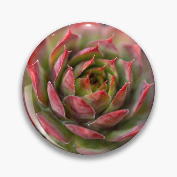Item preview, Beautiful red and green cactus  designed and sold by MargaretWiktor.