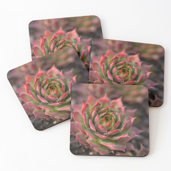 Item preview, Beautiful red and green cactus  designed and sold by MargaretWiktor.