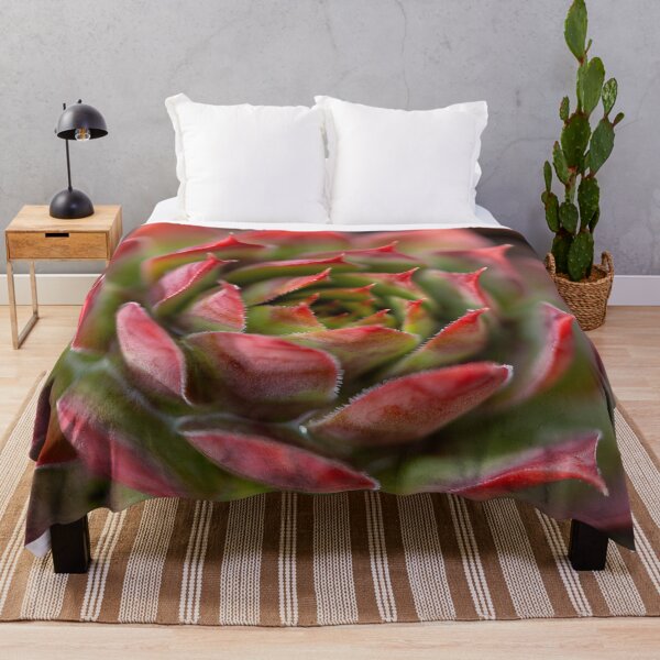 Item preview, Beautiful red and green cactus  designed and sold by MargaretWiktor.
