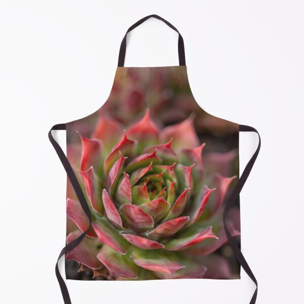 Item preview, Beautiful red and green cactus designed and sold by MargaretWiktor.