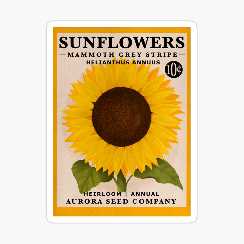 Sunflower ページ Sunshine Harvest Packed Sunflower Floral Cotton 25456-78