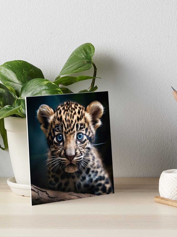 exotic baby white tiger cub print Sticker for Sale by dcrc