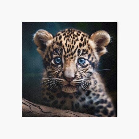 An Image Of A Baby Leopards With Blues Eyes Background, Jaguar