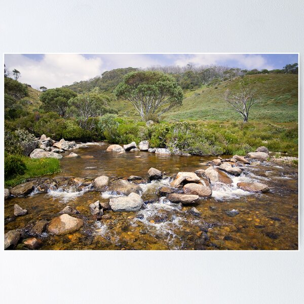Item preview, High Country Mountain Stream designed and sold by Richard  Windeyer.