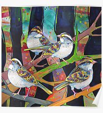 White-throated sparrows painting - 2012 Poster