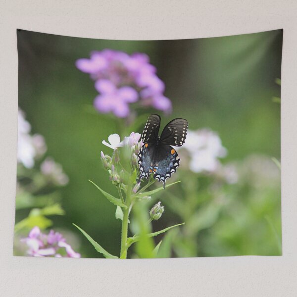 Item preview, Black Swallowtail Butterfly designed and sold by Linda Crockett.
