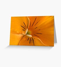 A different angle on a sunny orange pansy Greeting Card