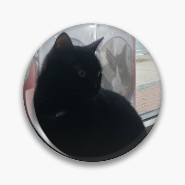 Item preview, #302 |☼| Black Cat - Catisfaction Cat Café (Cats) designed and sold by Naean H.F. (Nez Man).
