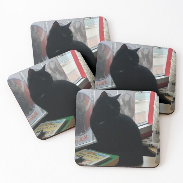 Item preview, #302 |☼| Black Cat - Catisfaction Cat Café (Cats) designed and sold by Naean H.F. (Nez Man).