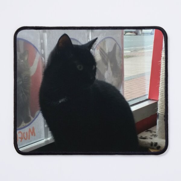 Item preview, #302 |☼| Black Cat - Catisfaction Cat Café (Cats) designed and sold by Naean H.F. (Nez Man).