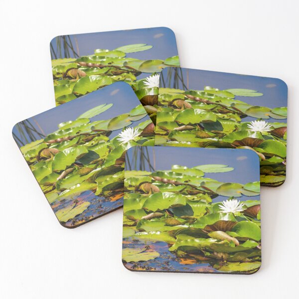 Item preview, Lilly Pads in Water  designed and sold by GEM-Photo.