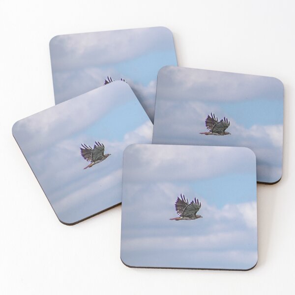 Item preview, Bird in Flight designed and sold by GEM-Photo.