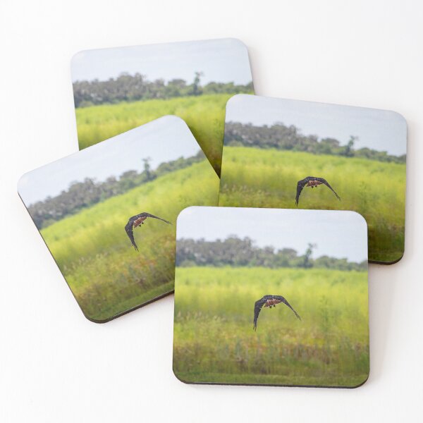 Item preview, Bird Taking Flight  designed and sold by GEM-Photo.